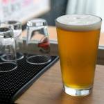 A freshly poured blonde ale sits in the window at Thirsty Crab Brewery. (Ryan Berry / The Herald)