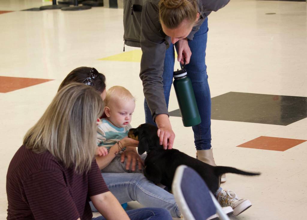 A puppy and baby meet. (Photo by Rachel Rosen/Whidbey News-Times).