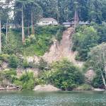 A landslide, visible from the South Whidbey Harbor, occurred Saturday evening in Langley. It involved at least three large trees. (Photo by Jesse Brighten)
