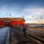 Tekla Cunningham plays violin at the Coupeville Wharf. (Photo provided.)