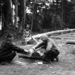 Washington State Archives photo
Civilian Conservation Corps members build log guild rails in the park in May 1934. The log guard rails are a well known detail in the famous park.