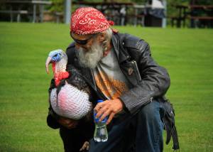 Photo by David Welton
South Whidbey resident Dan Weehunt has a word with Gertie, his 35-pound pet turkey, as they take a stroll in a park earlier this month.