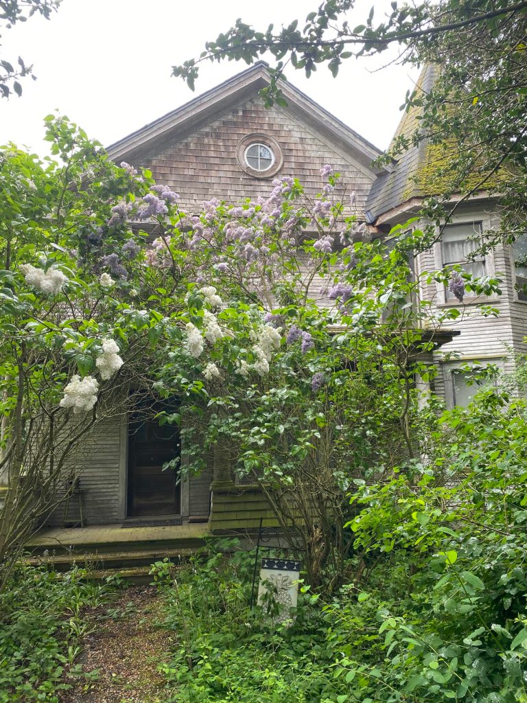 The house on the Engle Family Homestead has become overgrown with invasive vines that threaten its longevity.