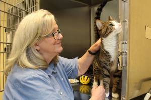 Photo by Karina Andrew/Whidbey News-Times
Shari Bibich, an animal advocate of three decades, will soon retire from her position as shelter manager at WAIF. Throughout her long career in animal welfare, she has helped thousands of dogs and cats find loving homes and receive critical care.