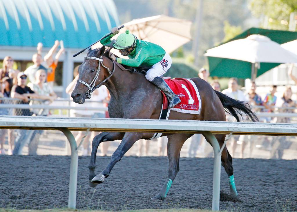 Slew's Tiz Whiz, ridden by Jose Zunino, won the Longacres Mile on Sunday. (Photo provided by Emerald Downs)