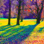 Photo by Skip Smith
Pieces from Smiths In Your Face Color series will be on display in September.