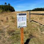 Photo by Harry Anderson
The new trail emerges into farmland.