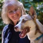Photos by David Welton
Kathryn Hurtley sits with Trek. She read about his need for a home last February and has helped him develop into a friendly and trusting dog from the fearful feral dog he was last year.
