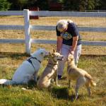 Karen Wolf, who adopted Treks sister Tundra, plays with (from left) Treks mother Meridia, her son Tanto and Trek.