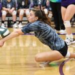 Photo by John Fisken
Sophomore Karen Salinger digs the ball in a match against Ferndale.