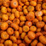 Photo by David Welton