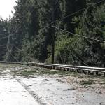 Puget Sound Energy photo
Following heavy winds in the region Nov. 5 and 6, Puget Sound Energy performed restoration efforts in Greenbank.