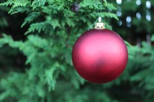 Photo by Karina Andrew/Whidbey News-Times