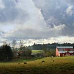 Photo by David Welton
A scenic photograph of Lone Lake.
