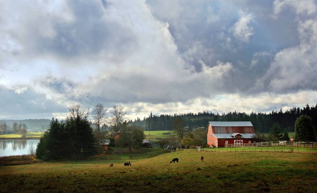 Photo by David Welton
A scenic photograph of Lone Lake.