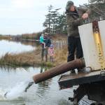 Photo by Jessie Stensland / Whidbey News Group
Fish and Wildlife biologist Justin Spinelli releases rainbow trout into Cranberry Lake as local resident Andy Golden and his two girls, Ellis and Maeve, look on.