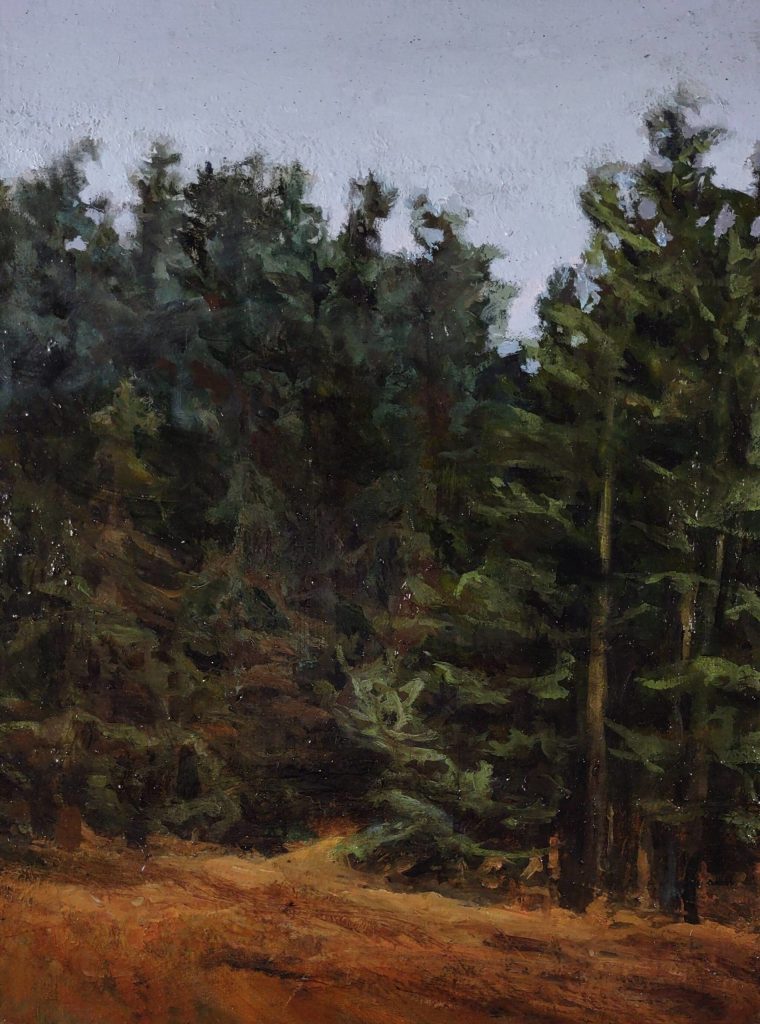 Photo provided
Cousins Road Lopez