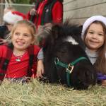 Photo by Karina Andrew/Whidbey News-Times
From left, kindergartener Gwen Carvalho and 4-year-old Maggie Sitko pet a miniature pony. Maggies grandmother, Ronnie Sitko, brought in the ponies to Oak Harbor Christian School on Friday to spread some Christmas cheer among the students.