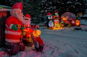 From penguins to snowmen to Santa Clauses, Jim Youngs collection of blow-up lawn ornaments is vast. (Photo by David Welton)