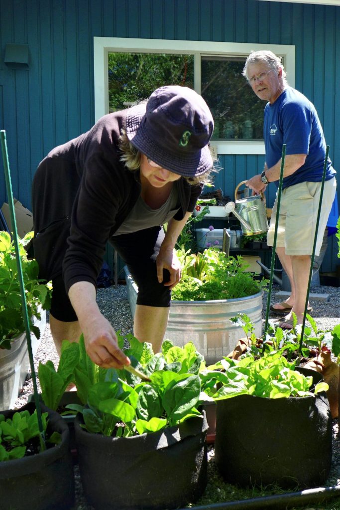South Whidbey at Home volunteers can provide light gardening services. (Photo provided)