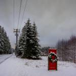 Photo by David Welton
The famous Red Door stands in the snow on Cultus Bay Road.