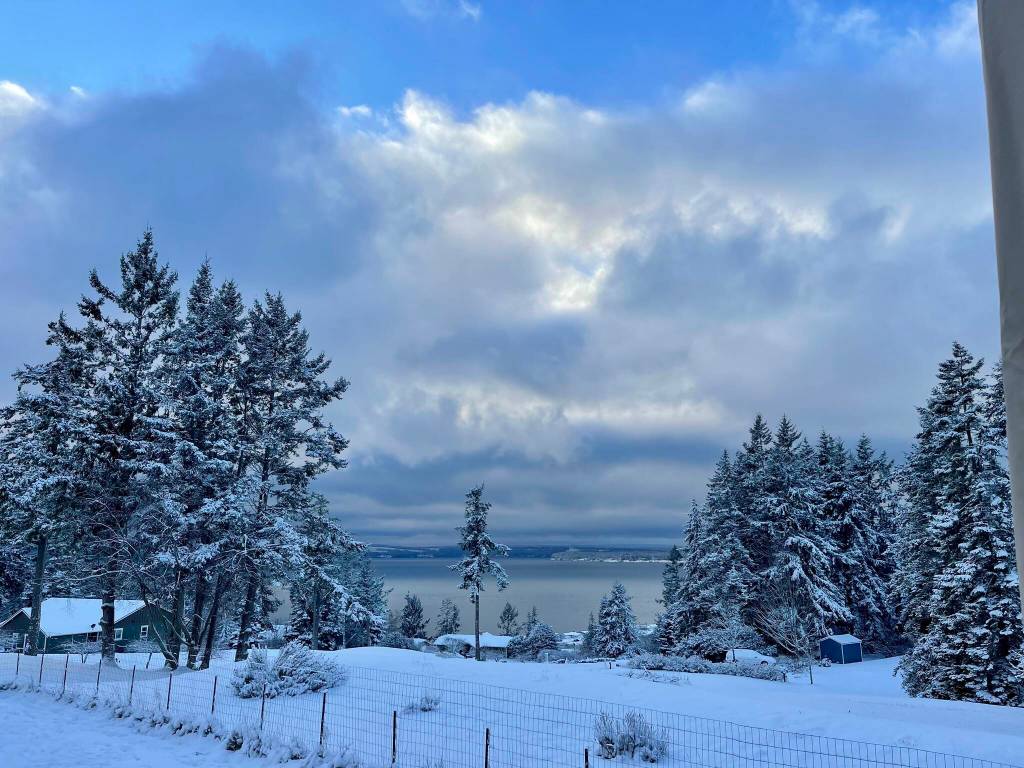 Jen Wuest caught a snowy scene south of Bush Point.