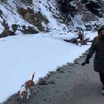 Bob Chiles offered a photo of snowy dog-walking on Ledgewood Beach.