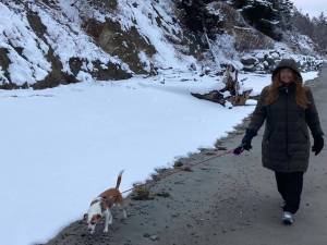 Bob Chiles offered a photo of snowy dog-walking on Ledgewood Beach.