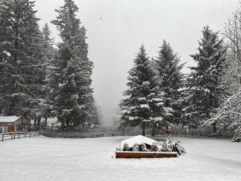 Danni Curgus submitted a photo of Deer Lake.