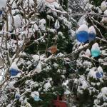 Desirée Ross submitted a photo of ornaments that looked like "wee gnomes with little snowcapped hats."