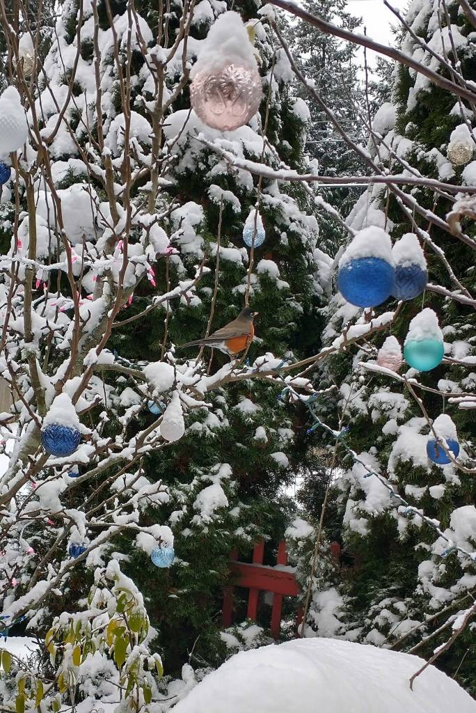 Desirée Ross submitted a photo of ornaments that looked like "wee gnomes with little snowcapped hats."