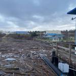 The Oak Harbor marina was clogged with driftwood following the king tides. (Photo provided)