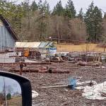 Animals were seized from a North Whidbey property on Christmas Eve. (Photo provided)