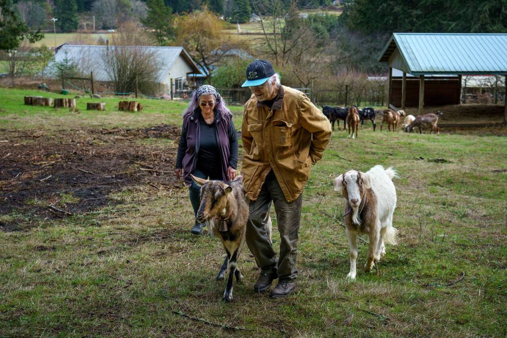 Photo by David Welton
Mary Jane Miller and Jim Hyde lead Slim and Jack up the hill.