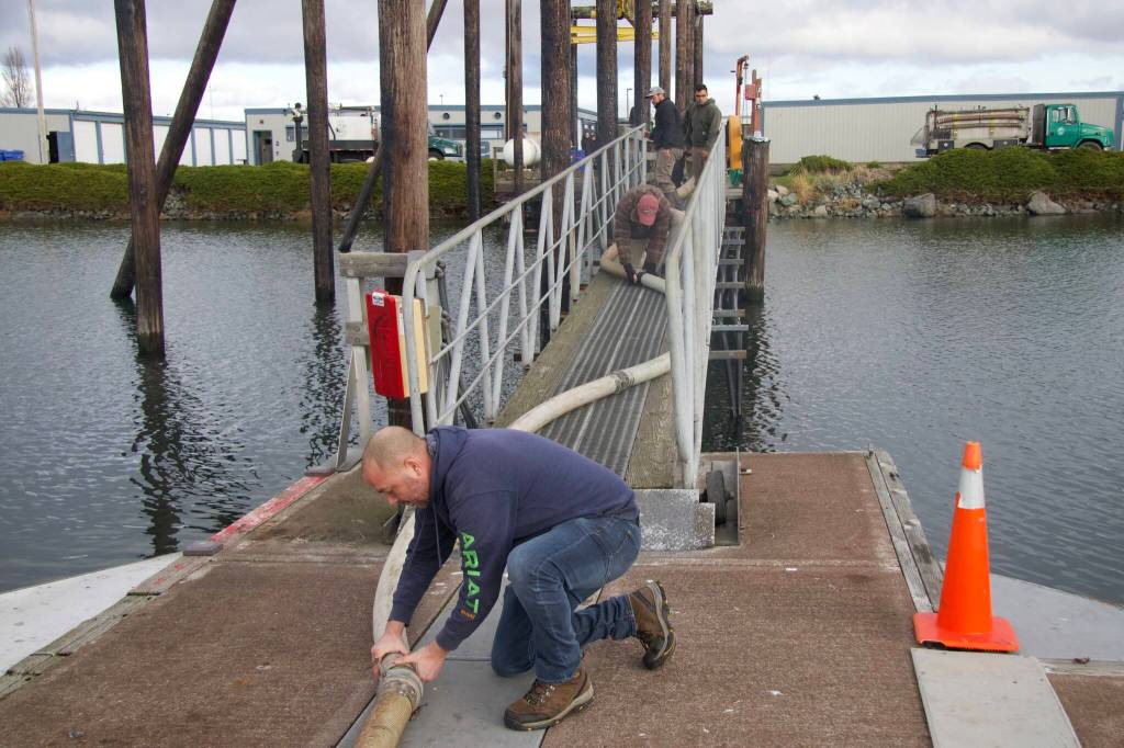 Jessie Howard (left) was one of several volunteers who helped set up tubing to transport the salmon from the truck to the pens.