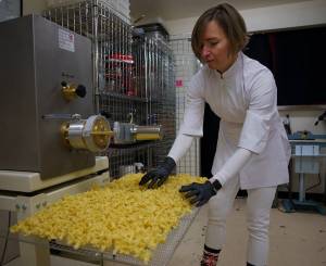Photo by David Welton
Aurora Echo gathers campanelle pasta extruded from her commercial pasta-making machine. She recently launched her new business, Wildly Beloved Foods, to sell her organic pasta, which also comes in a spinach variety.