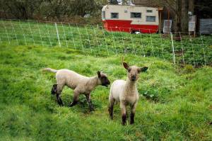 Photo by David Welton