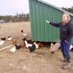Brooke Crowder owns 1902 Ranch, a Coupeville farm that has had to raise its egg prices due to the shortage and high demand. (Photo by Rachel Rosen/Whidbey News-Times)
