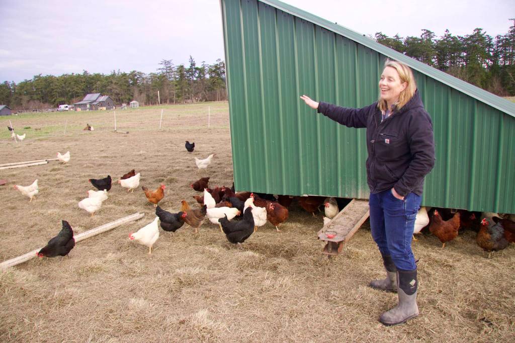 Brooke Crowder owns 1902 Ranch, a Coupeville farm that has had to raise its egg prices due to the shortage and high demand. (Photo by Rachel Rosen/Whidbey News-Times)