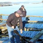 Daryl Beerbower and Aaron Schmidt lead a tour of a Coupeville mussel farm during the 2022 Penn Cove Musselfest. (File photo by Karina Andrew/Whidbey News-Times)