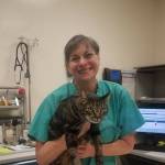 Donna DeBonis is a veterinarian and co-founder of Animal Advocates of Island County. (Photo provided)