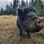 Uncle Sunlight poses for his close-up. (Photo provided)