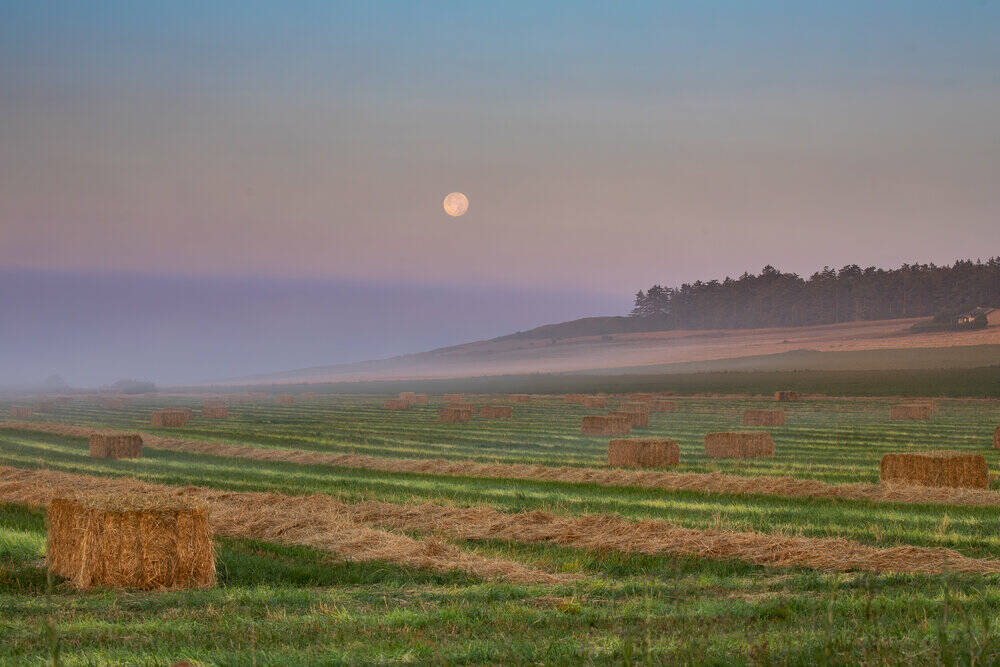 Photo by Jann Ledbetter
Jann Ledbetters photo captures a pastoral scene.