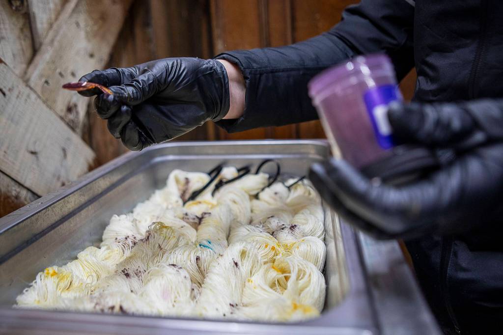 Willow Mietus, 50, sprinkles powered dye on white yarn. (Annie Barker / The Herald)