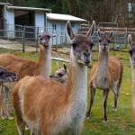 Photo by David Welton