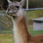 Photo by David Welton