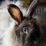 Photo by David Welton