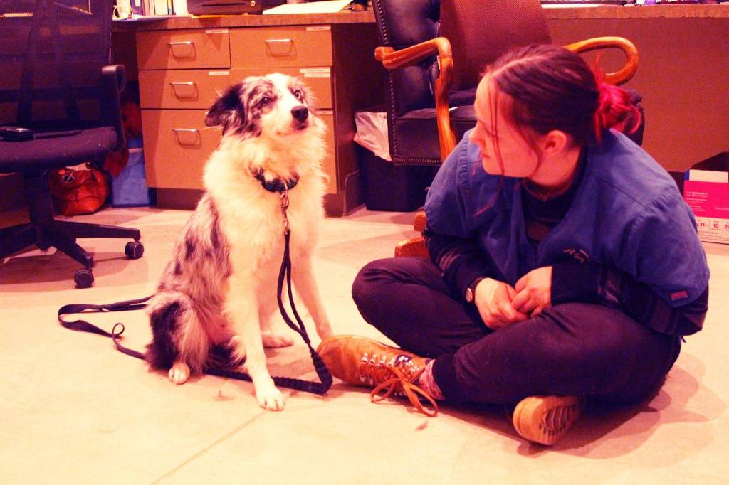 Photo by  Jessie Stensland