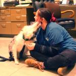 WAIF animal care tech Jacqueline Reid gets a lick from an Australian shepherd that was successfully treated for giardiasis after being surrendered to the organization. (Photo by Jessie Stensland)