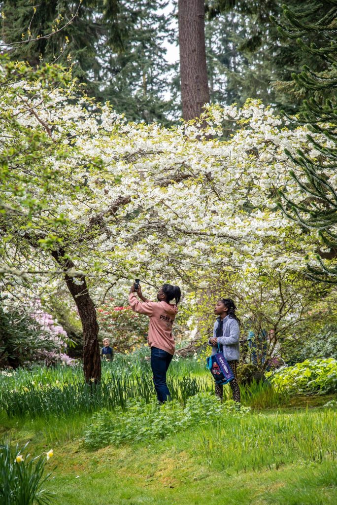 Kids search for Easter eggs during a hunt last year at Meerkerk Gardens. (Photo provided)